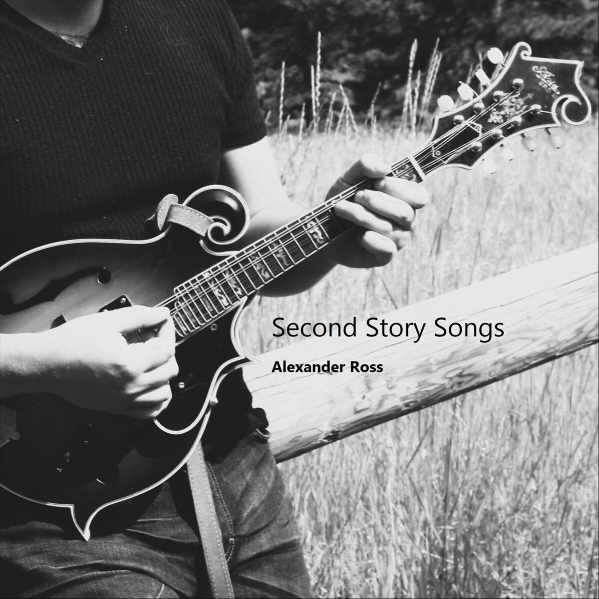 Album cover of Second Story Songs