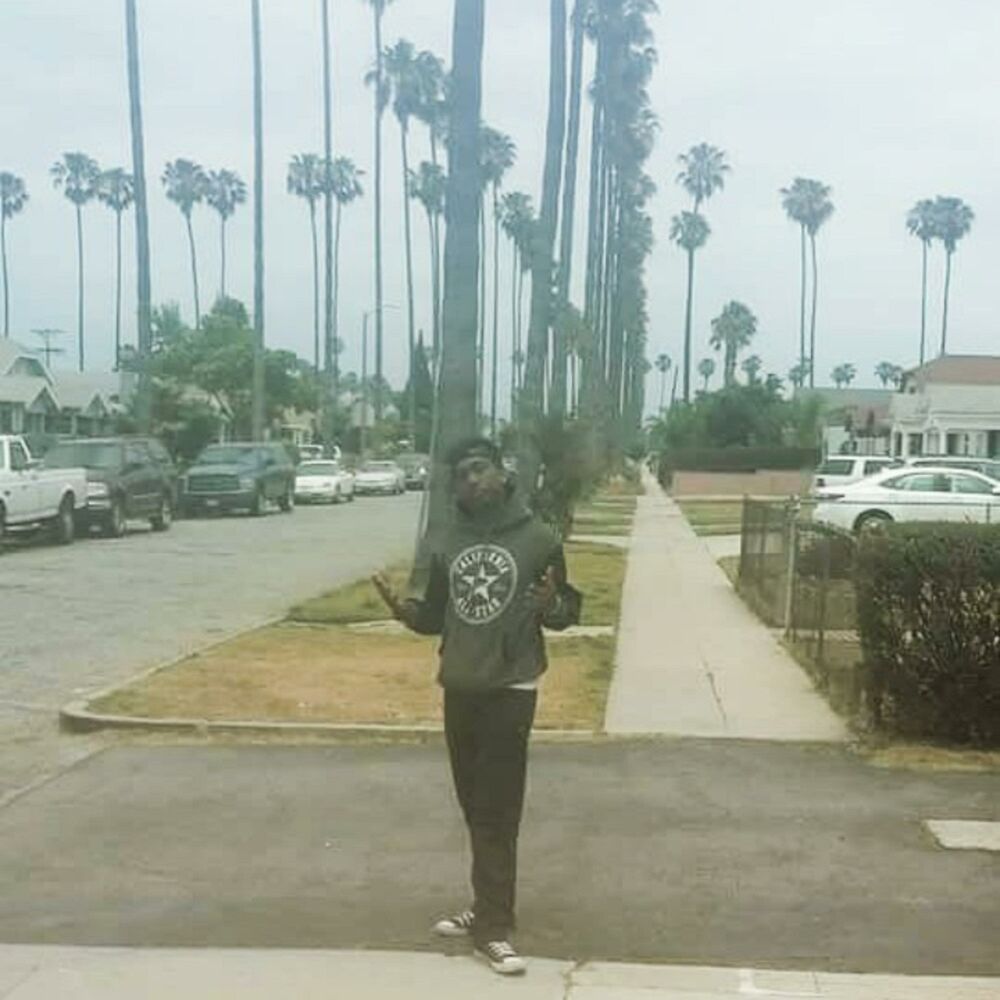 Picture of Palm Treez N Indo Weed