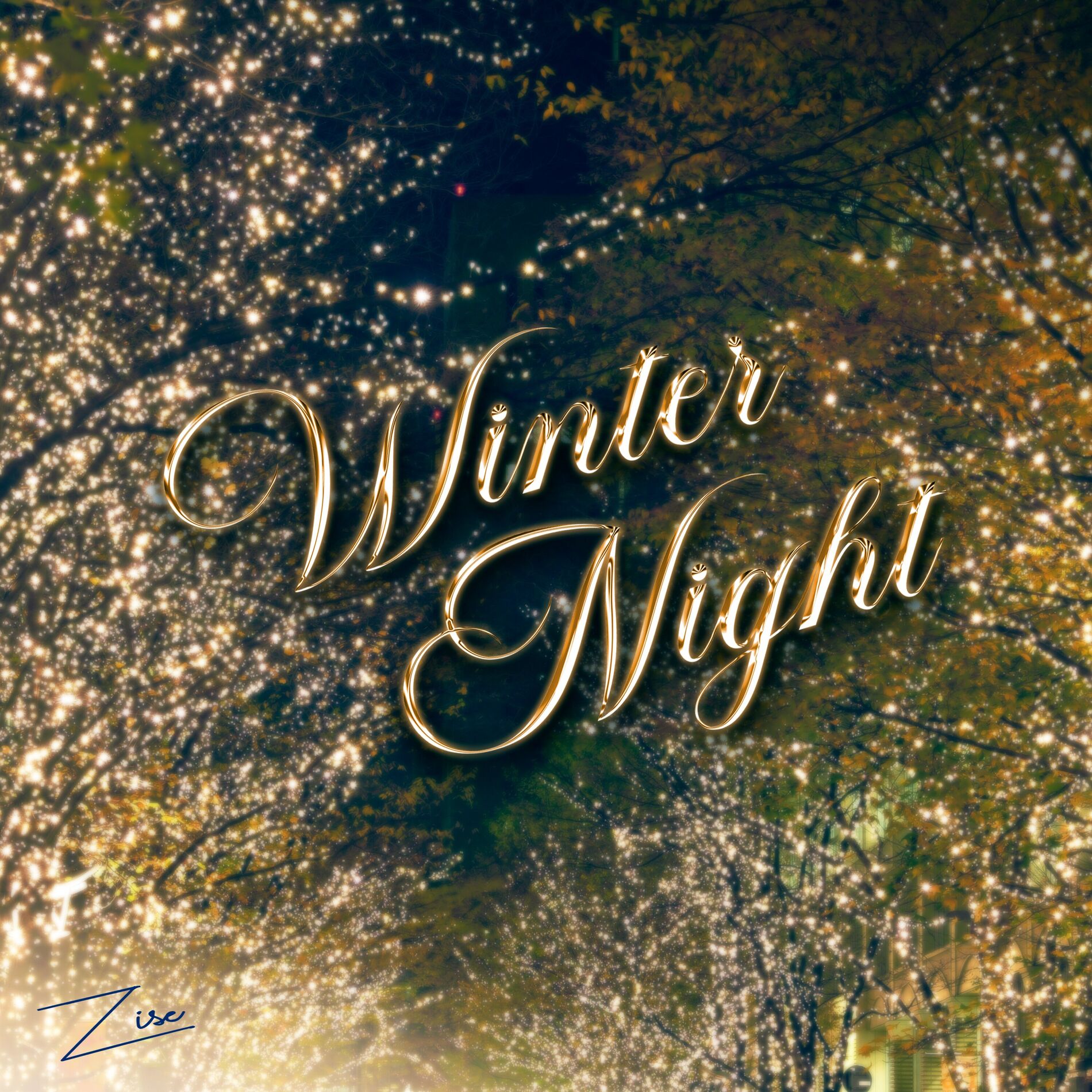 Album cover of Winter Night