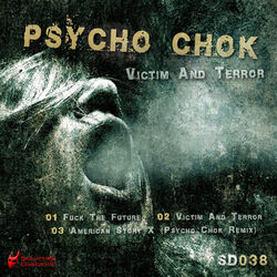 Cover of Victim and Terror