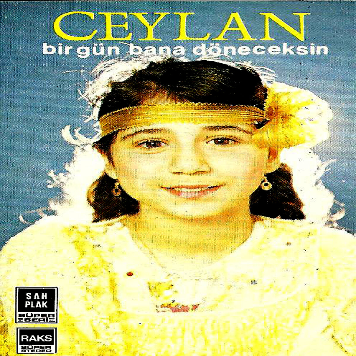 Album cover of Bir Gün Bana Döneceksin