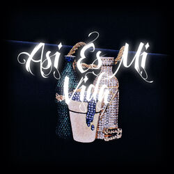 Cover of Asi Es Mi Vida