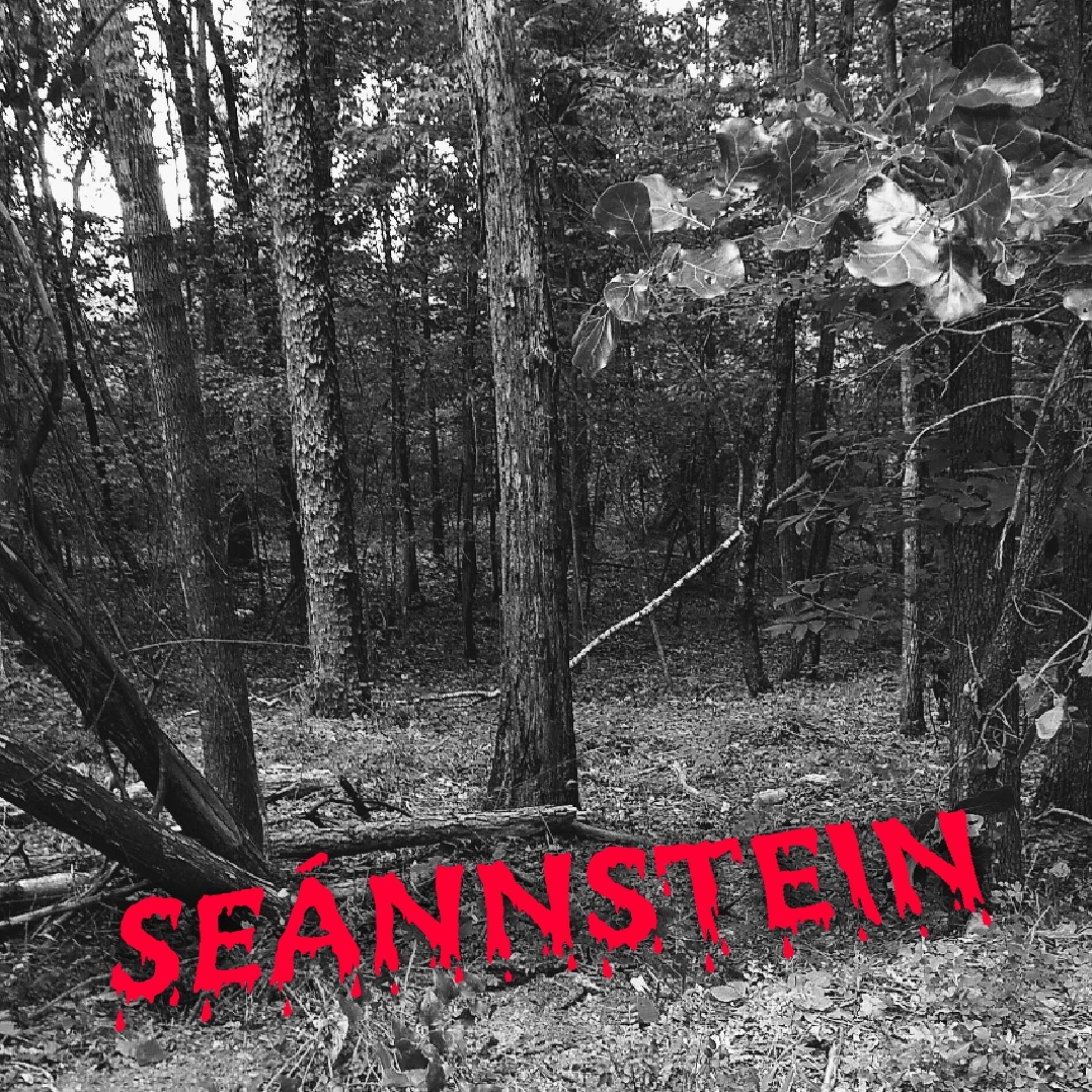 Album cover of Komm her, mein süßes Mädchen (feat. Aim To Head)