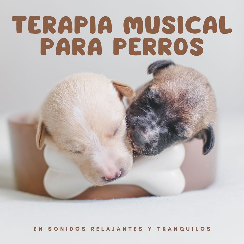 Picture of Terapia musical para perros en sonidos relajantes y tranquilos