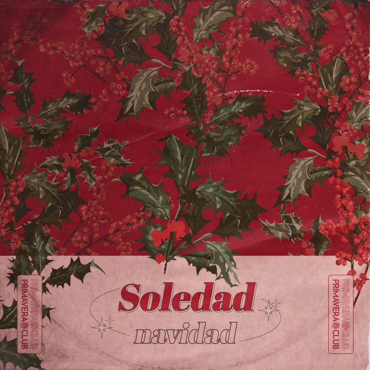 Album cover of Soledad / Navidad