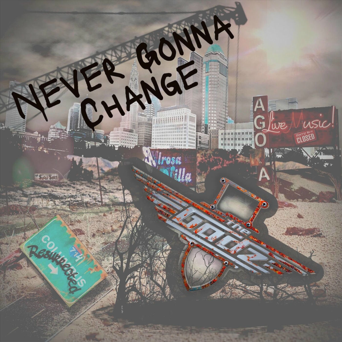 Album cover of Never Gonna Change