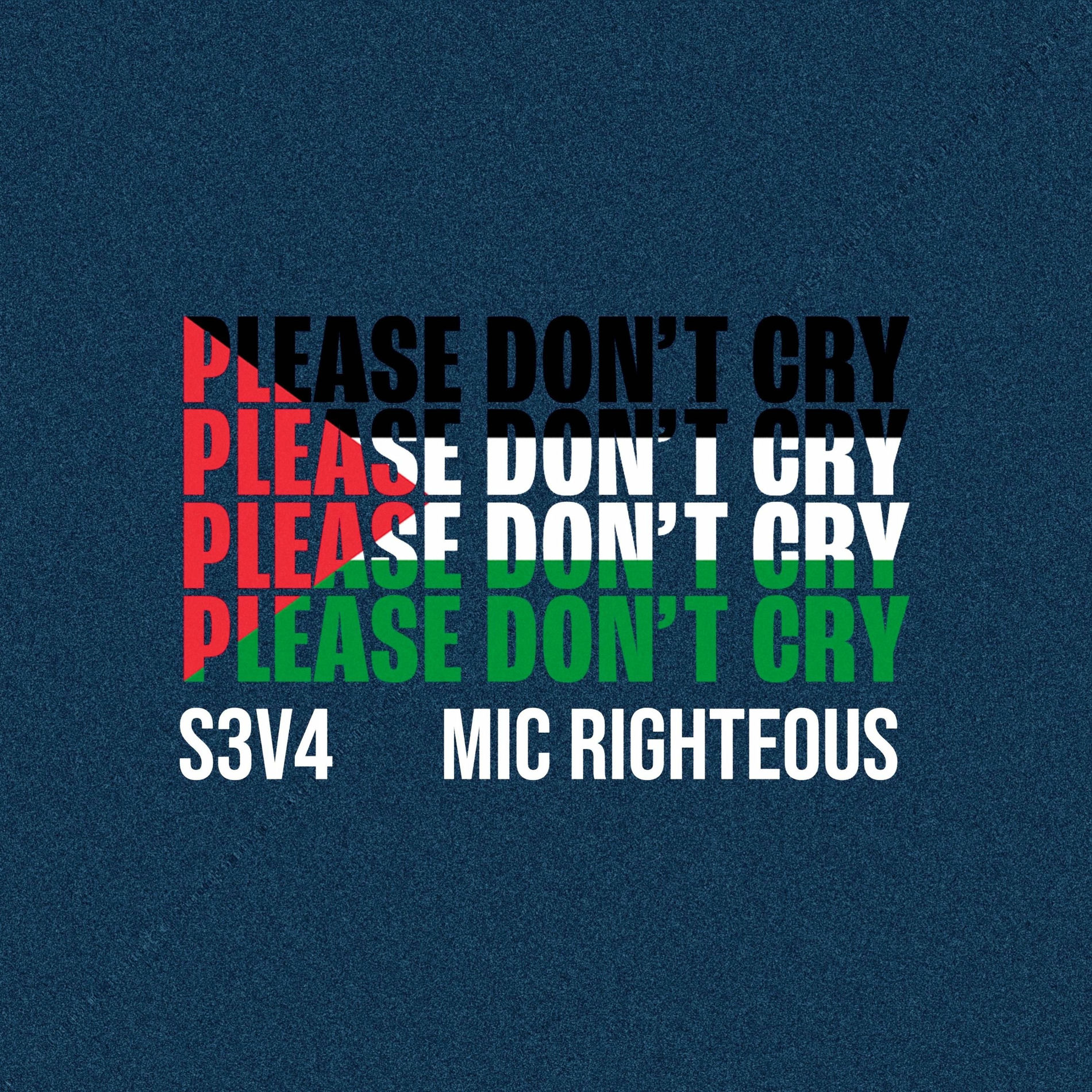 Album cover of Please Don't Cry (feat. Mic Righteous)