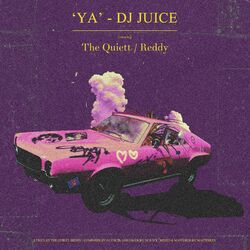 Cover of YA