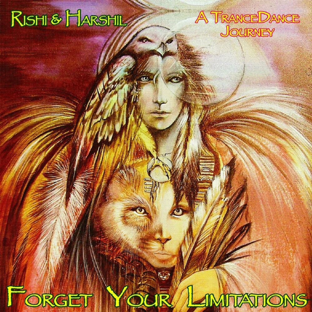 Picture of Forget Your Limitations