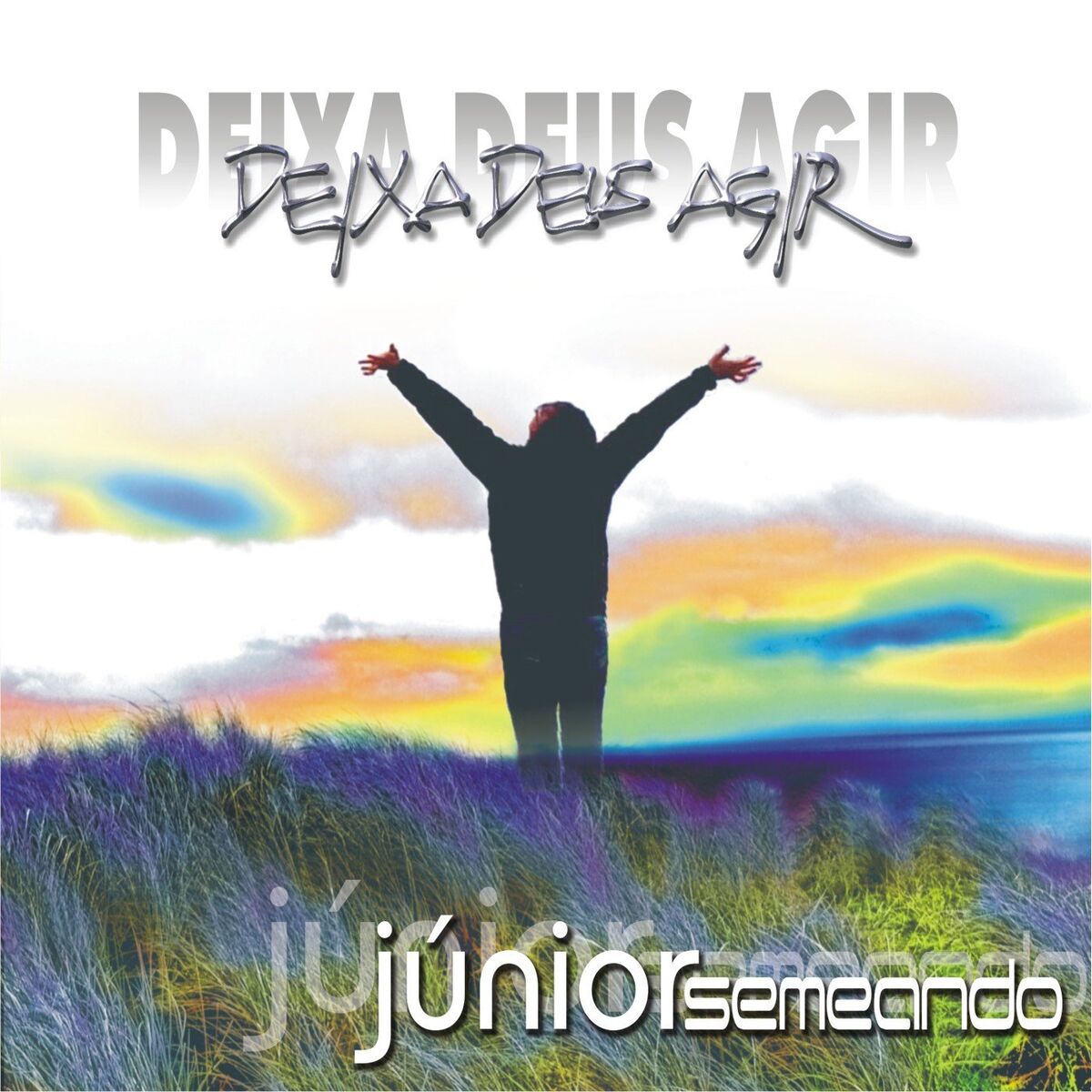 Album cover of O Dom de Ser Feliz