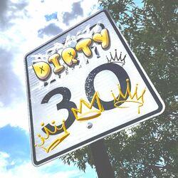 Cover of DIRTY 30