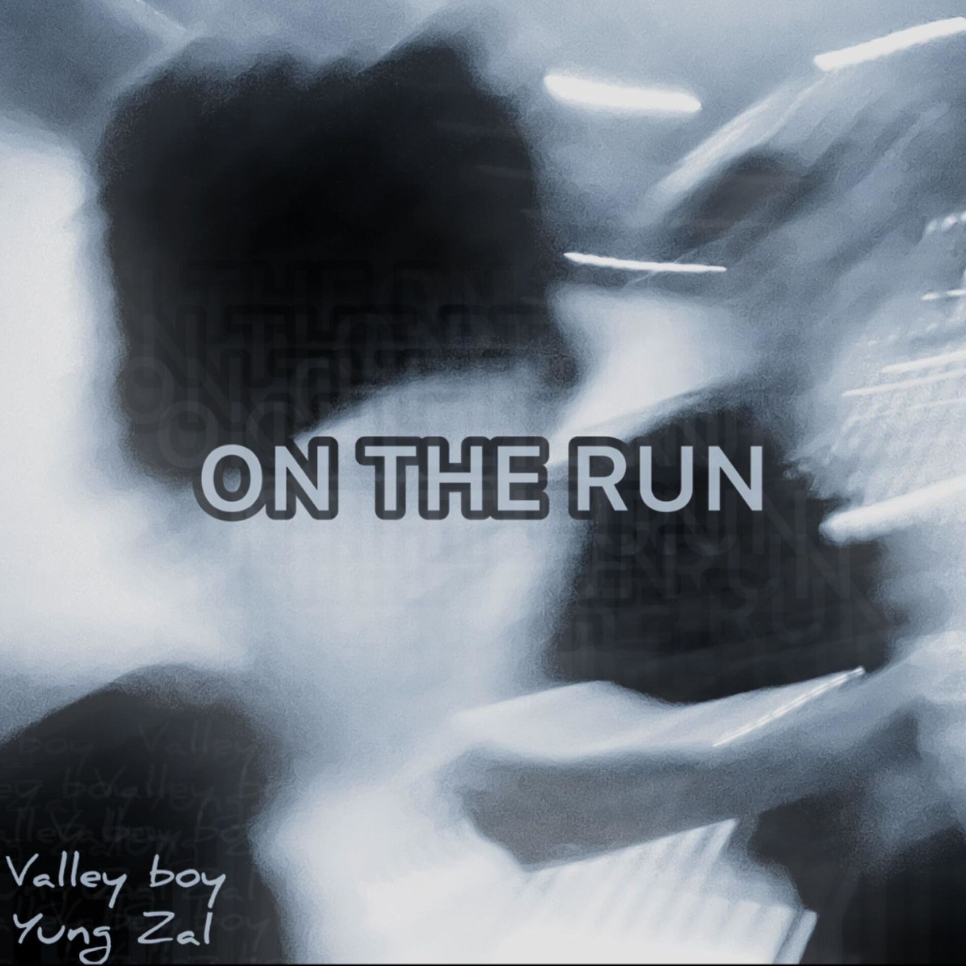 Album cover of On the run (feat. Valley boy)