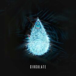 Cover of Circulate