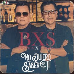 Cover of No Quiero Saber de Ti