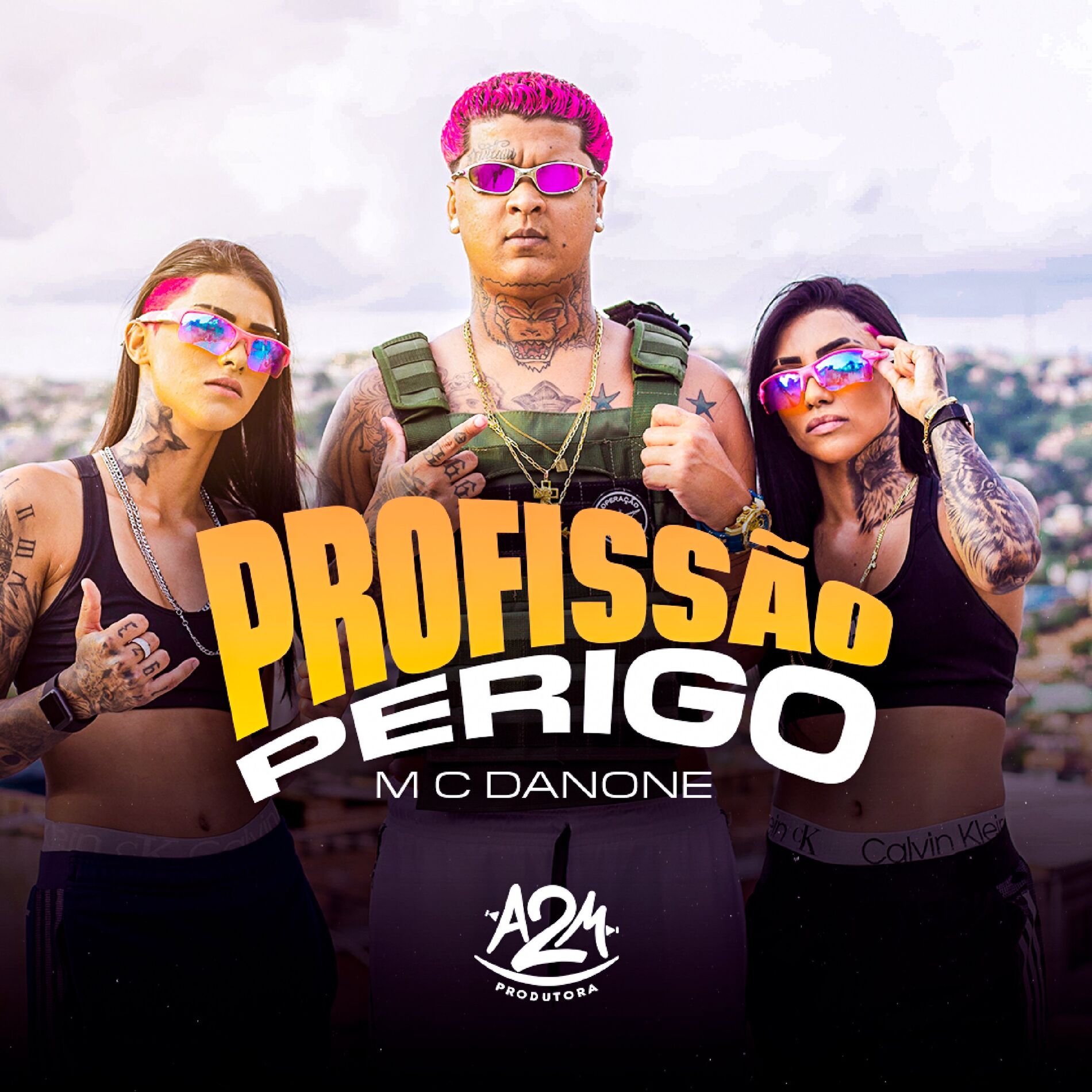 Album cover of Profissão Perigo