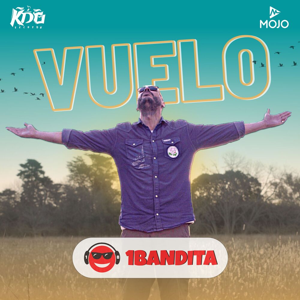 Picture of Vuelo
