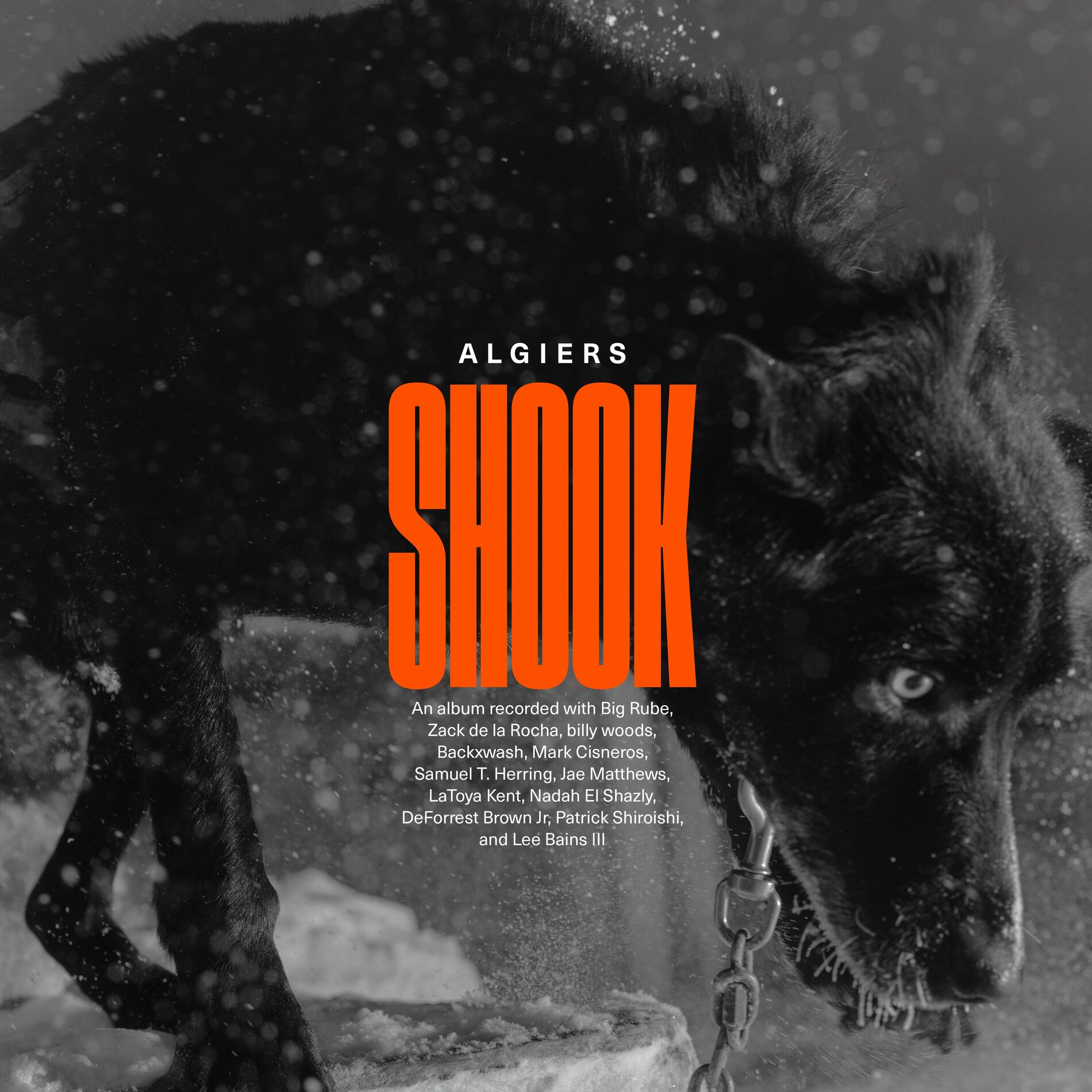 Album cover of Irreversible Damage