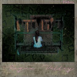 Cover of Fabric