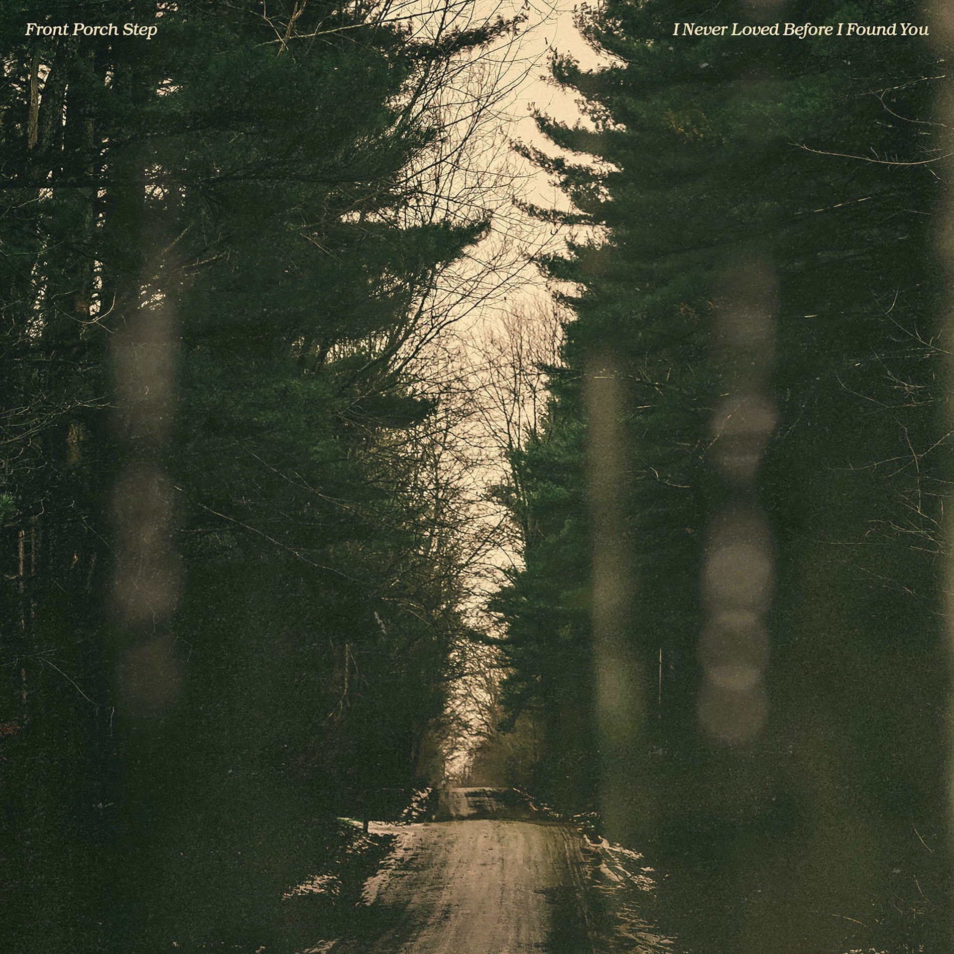 Album cover of I Never Loved Before I Found You