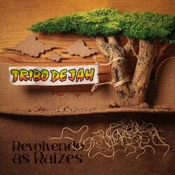 Cover of Revolvendo as Raizes