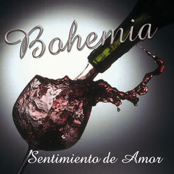 Cover of Sentimiento de Amor