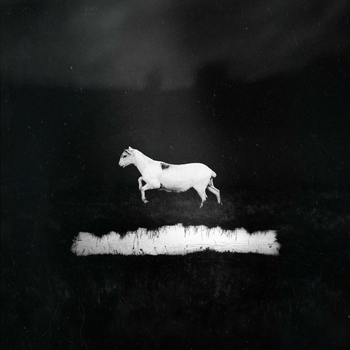 Album cover of Prédateurs