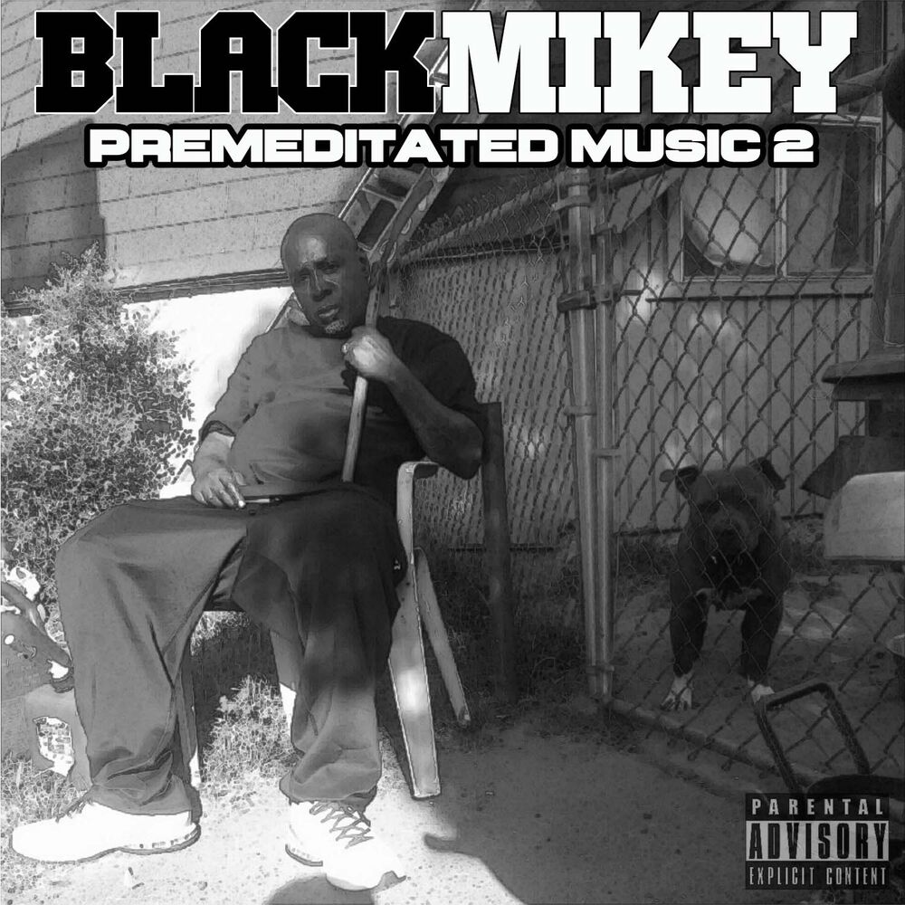 Picture of Premeditated Music 2