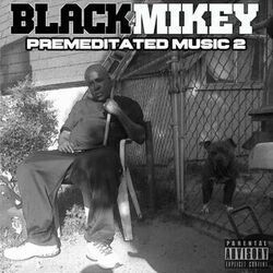 Cover of Premeditated Music 2