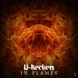 Cover of In Flames
