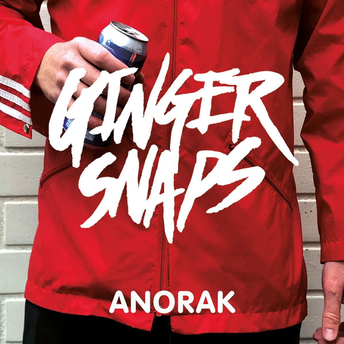 Album cover of Anorak