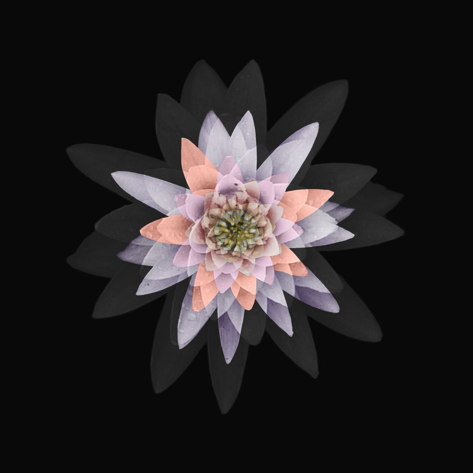Album cover of Dakini (God's Eye Mix) (feat. Sunspot Jonz, Tajai & Phesto, Souls Of Mischief & Butch Swim)