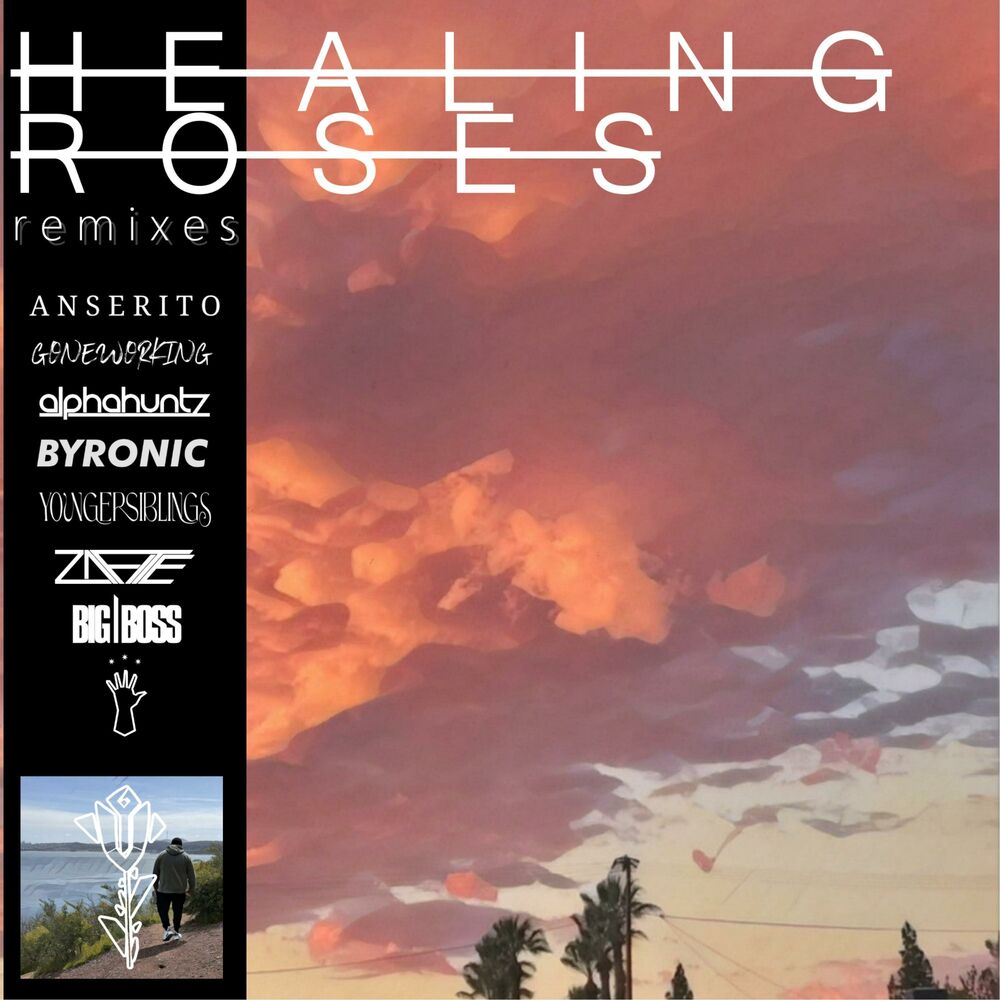 Picture of Healing Roses Remixes
