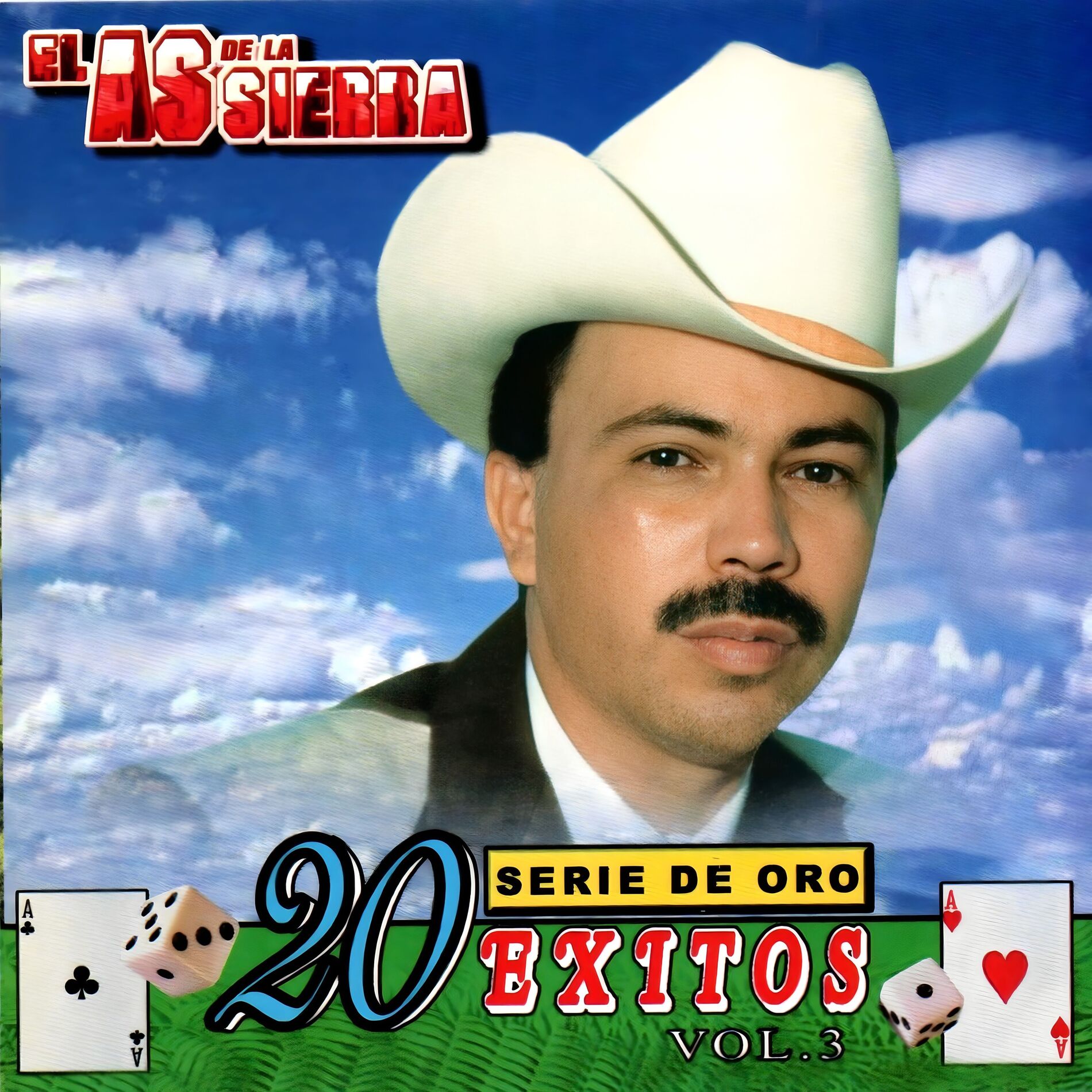 Album cover of Serie de Oro 20 Exitos (Vol. 3)