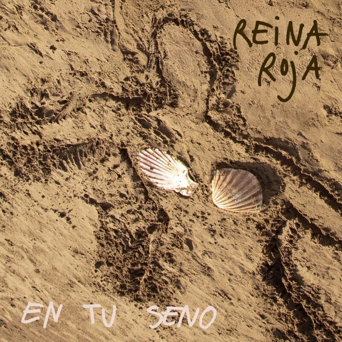 Album cover of En tu seno