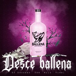 Cover of Desce Ballena