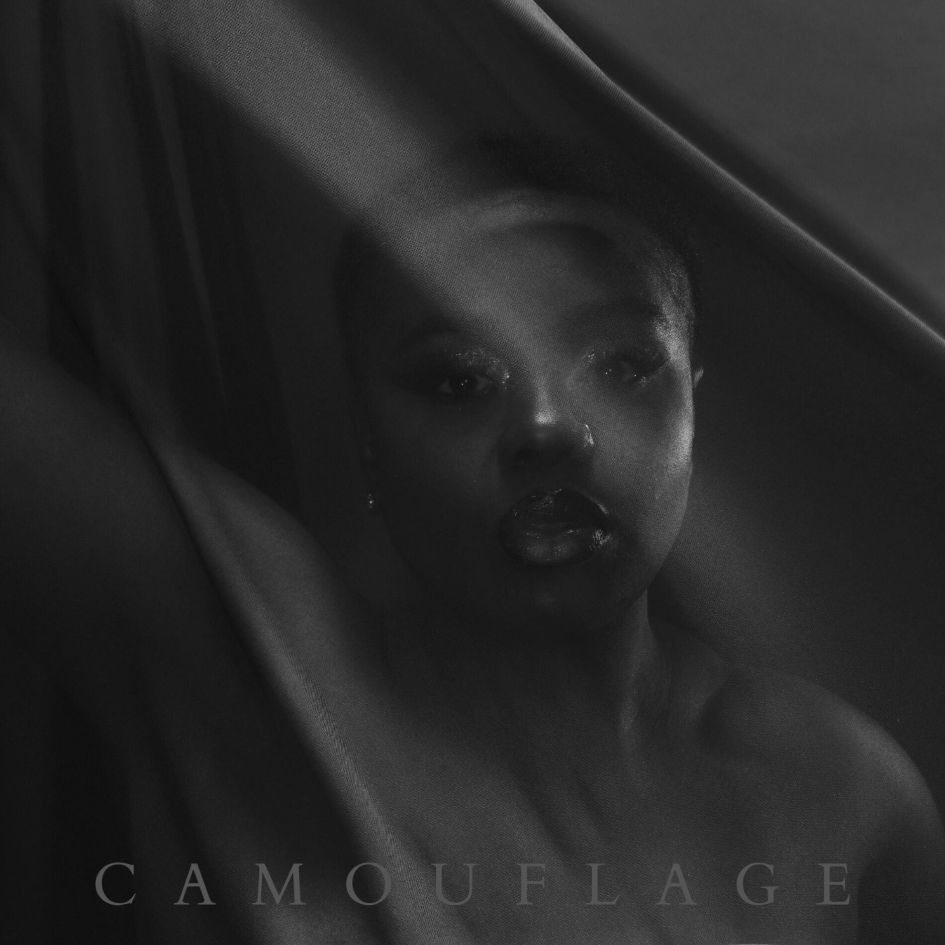 Album cover of Camouflage