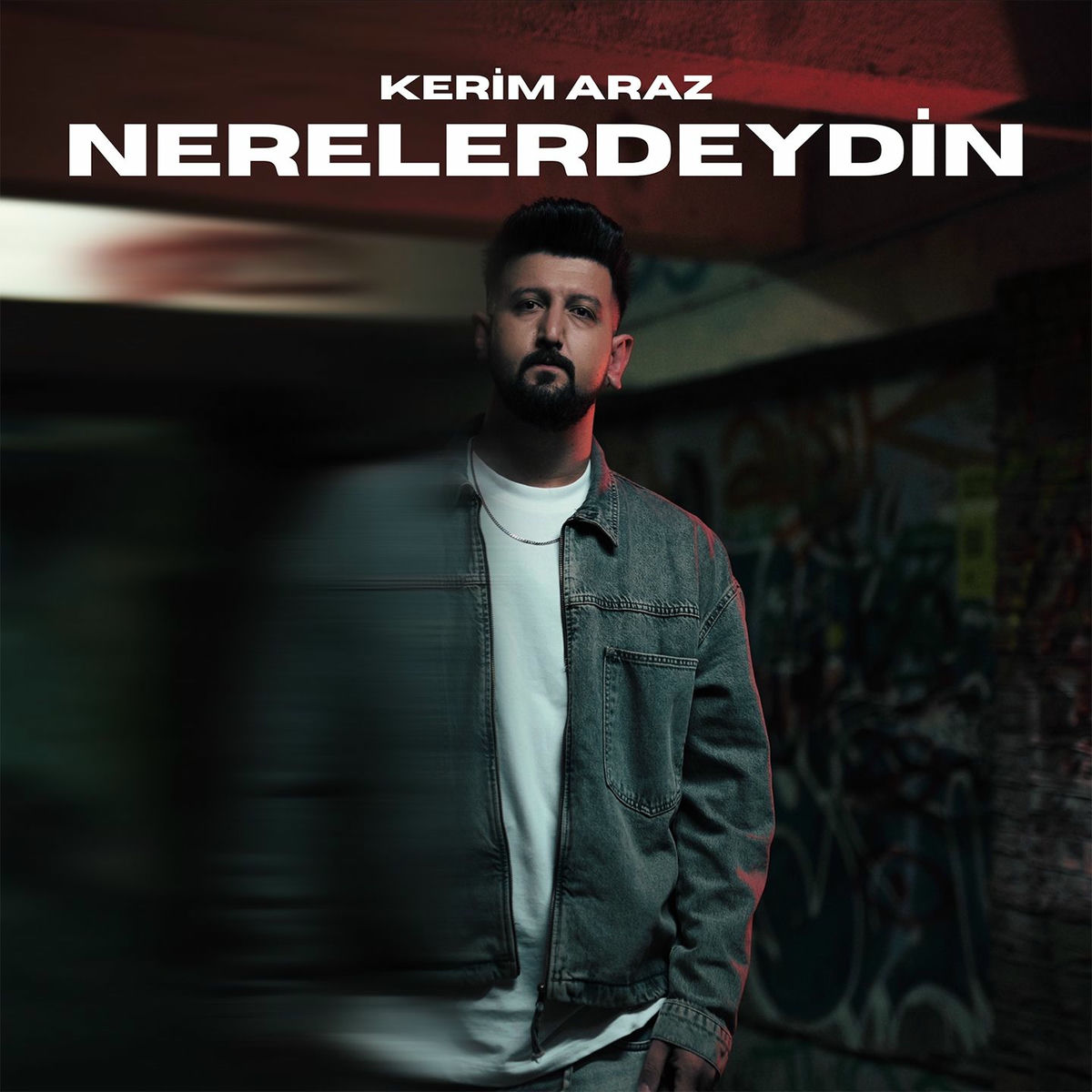 Album cover of Nerelerdeydin