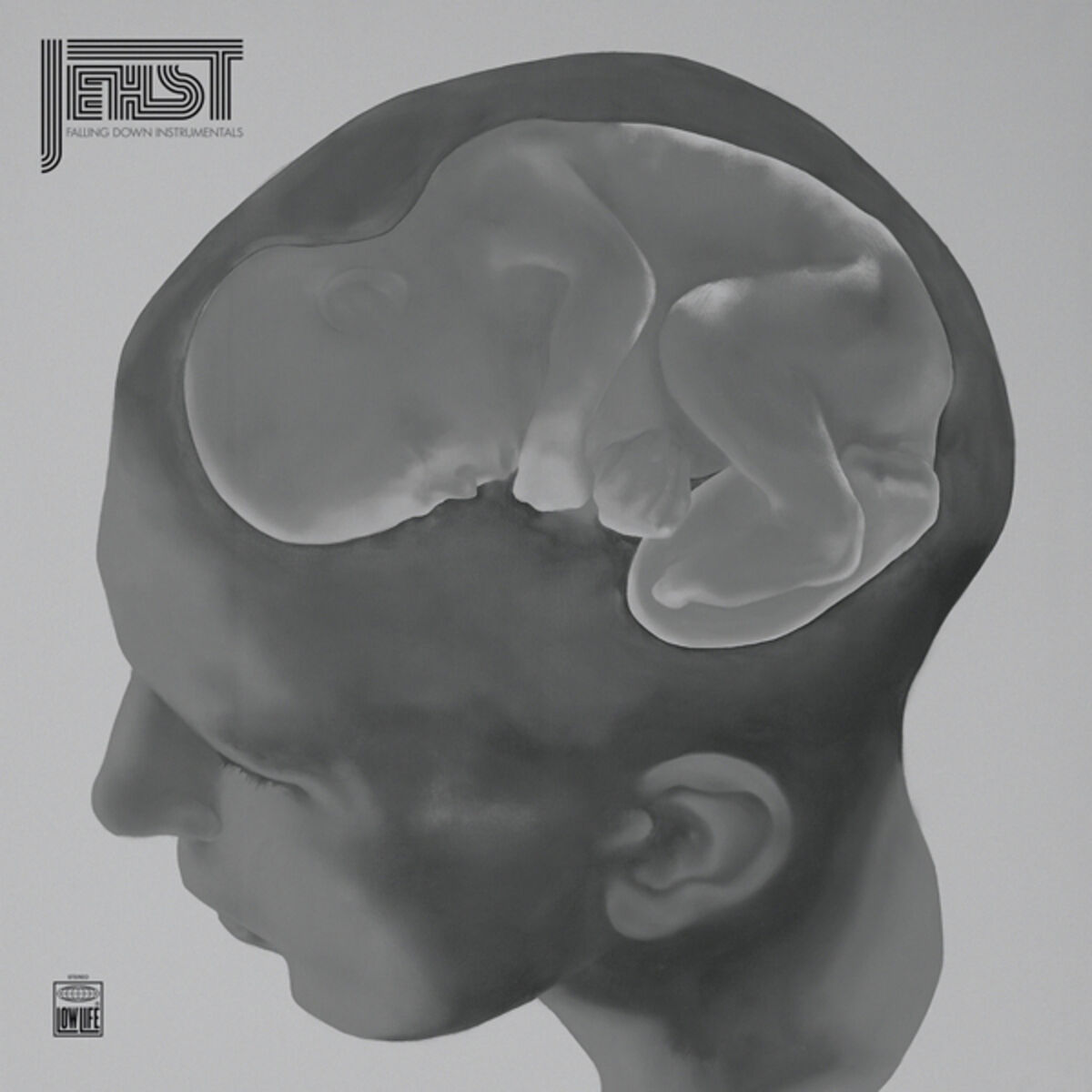 Album cover of Falling Down Instrumentals