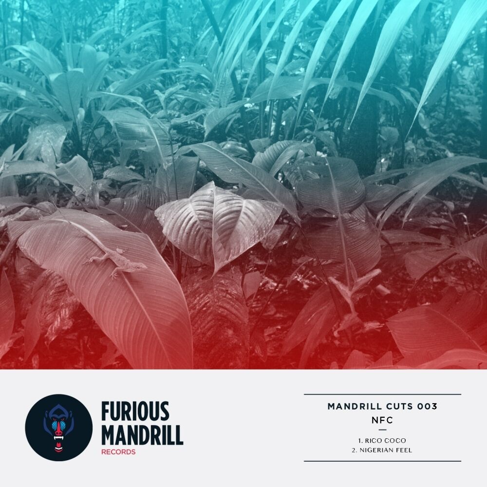 Picture of Mandrill Cuts 003