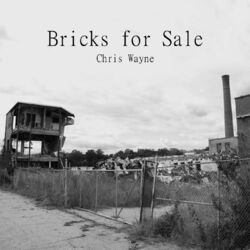 Cover of Bricks for Sale