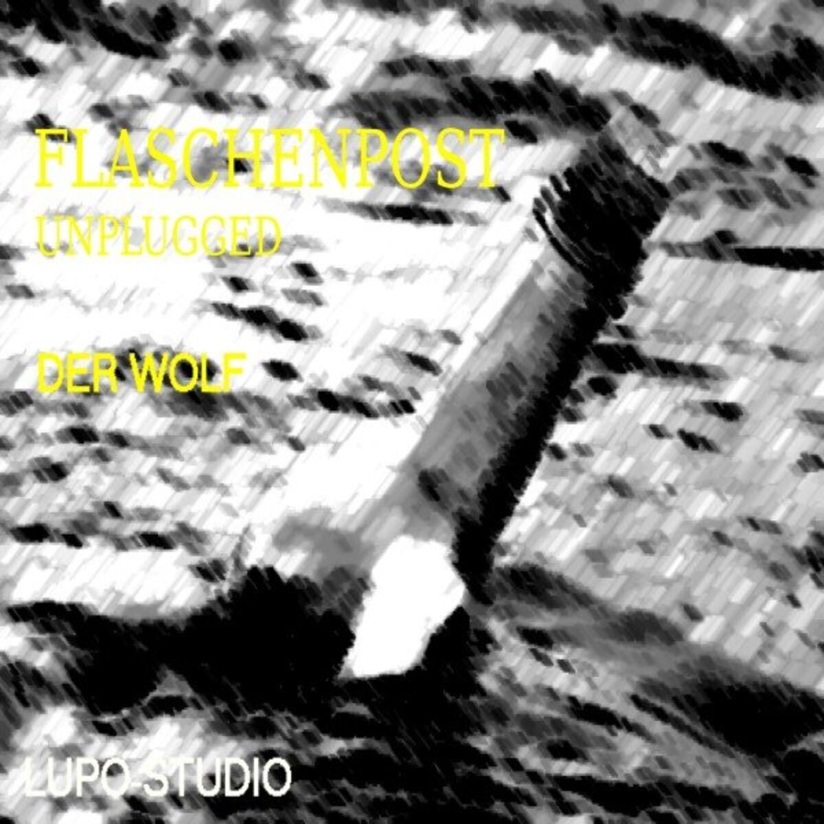 Album cover of Flaschenpost (Unplugged Version)