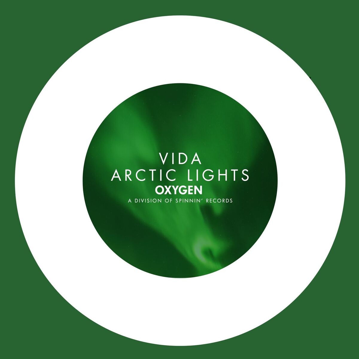 Album cover of Arctic Lights