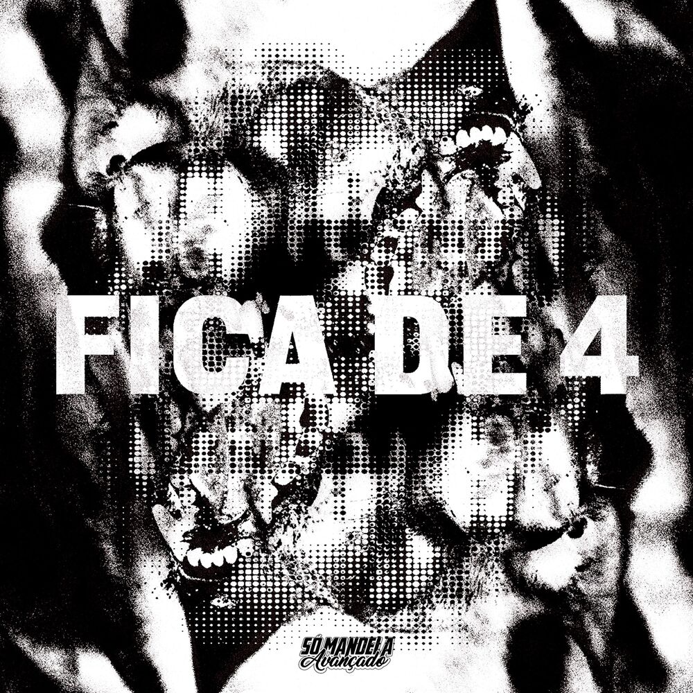 Picture of Fica de 4