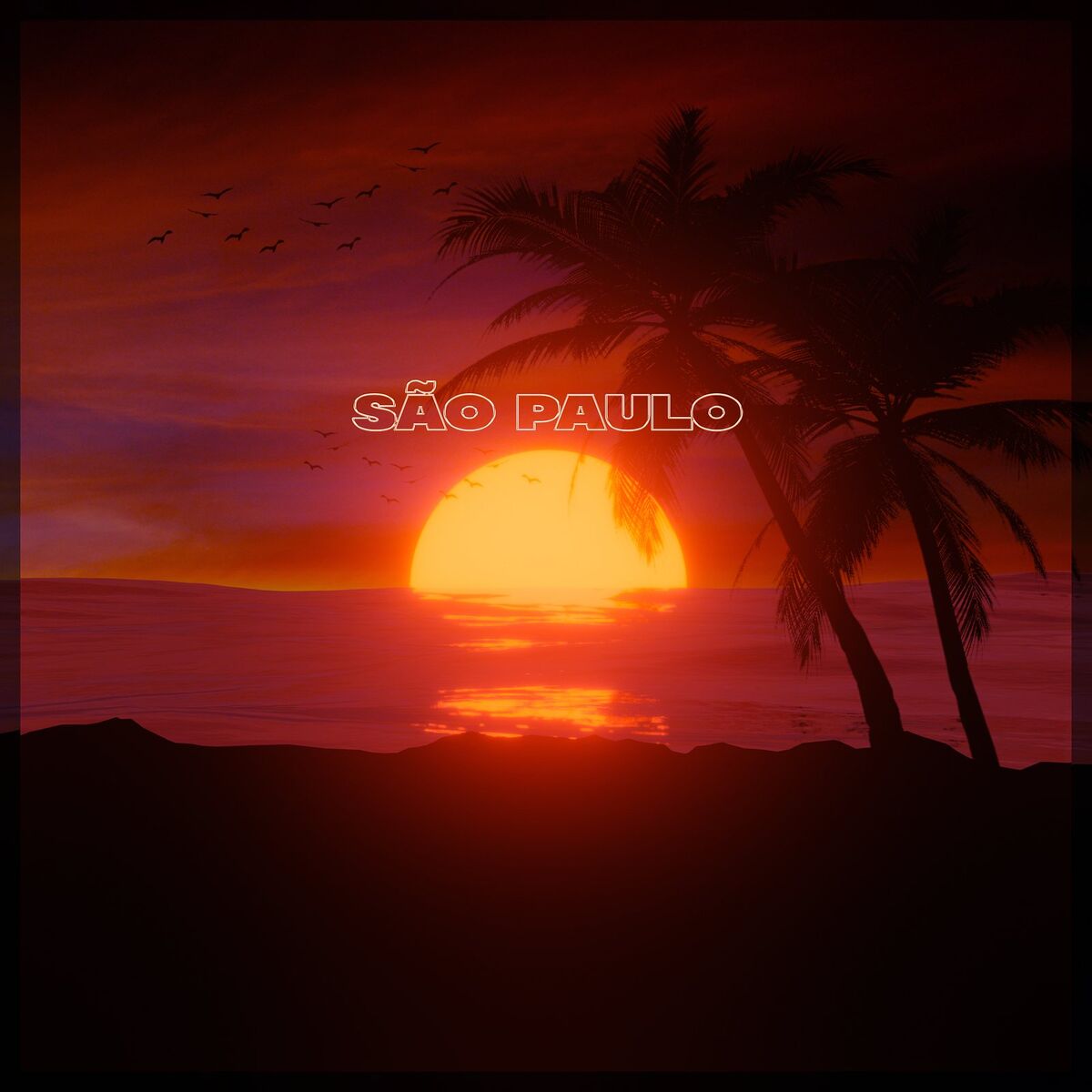 Album cover of São Paulo