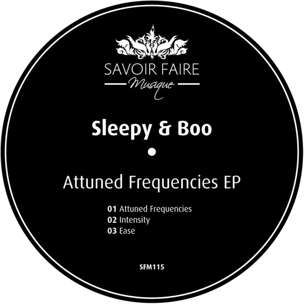 Picture of Attuned Frequencies EP