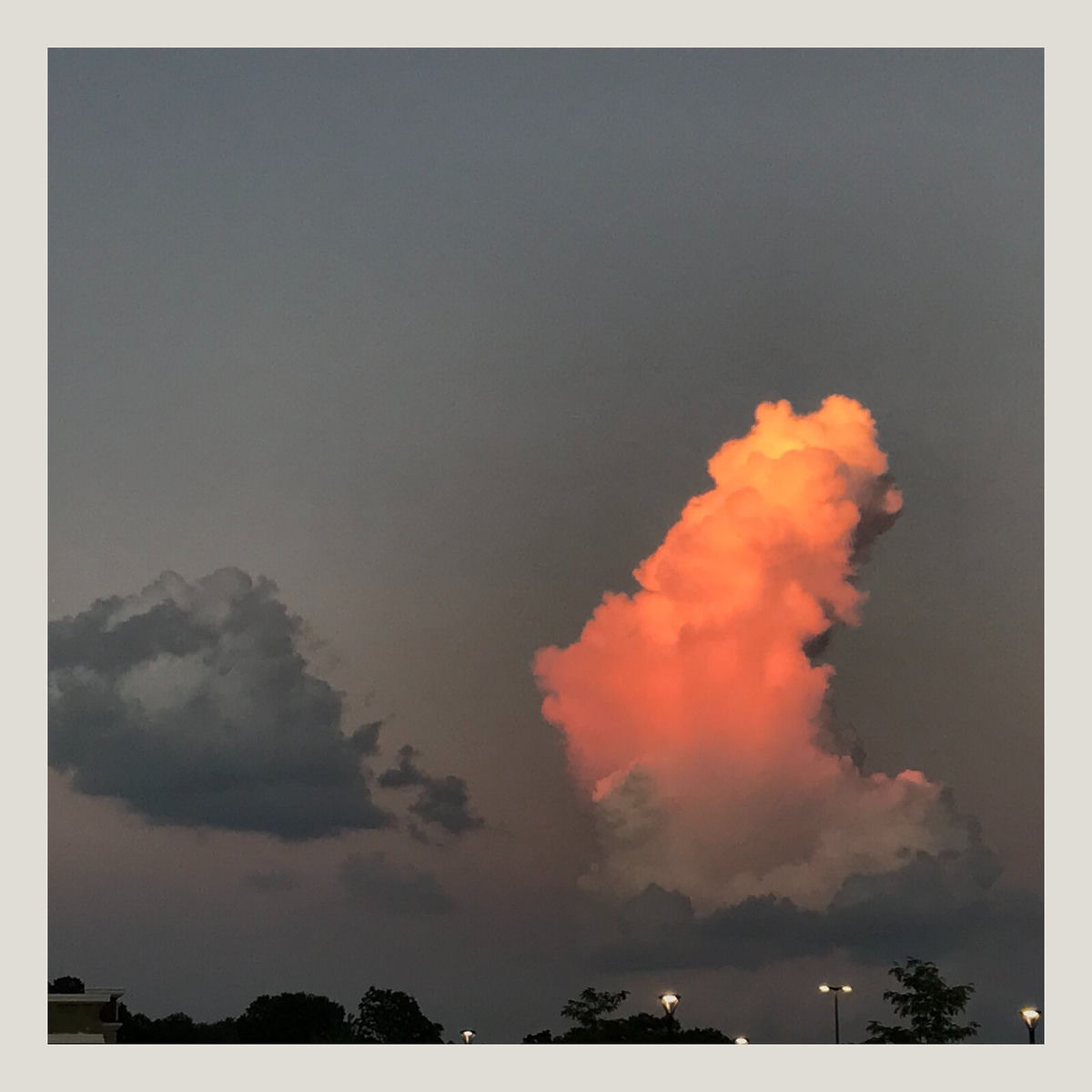Album cover of True Love