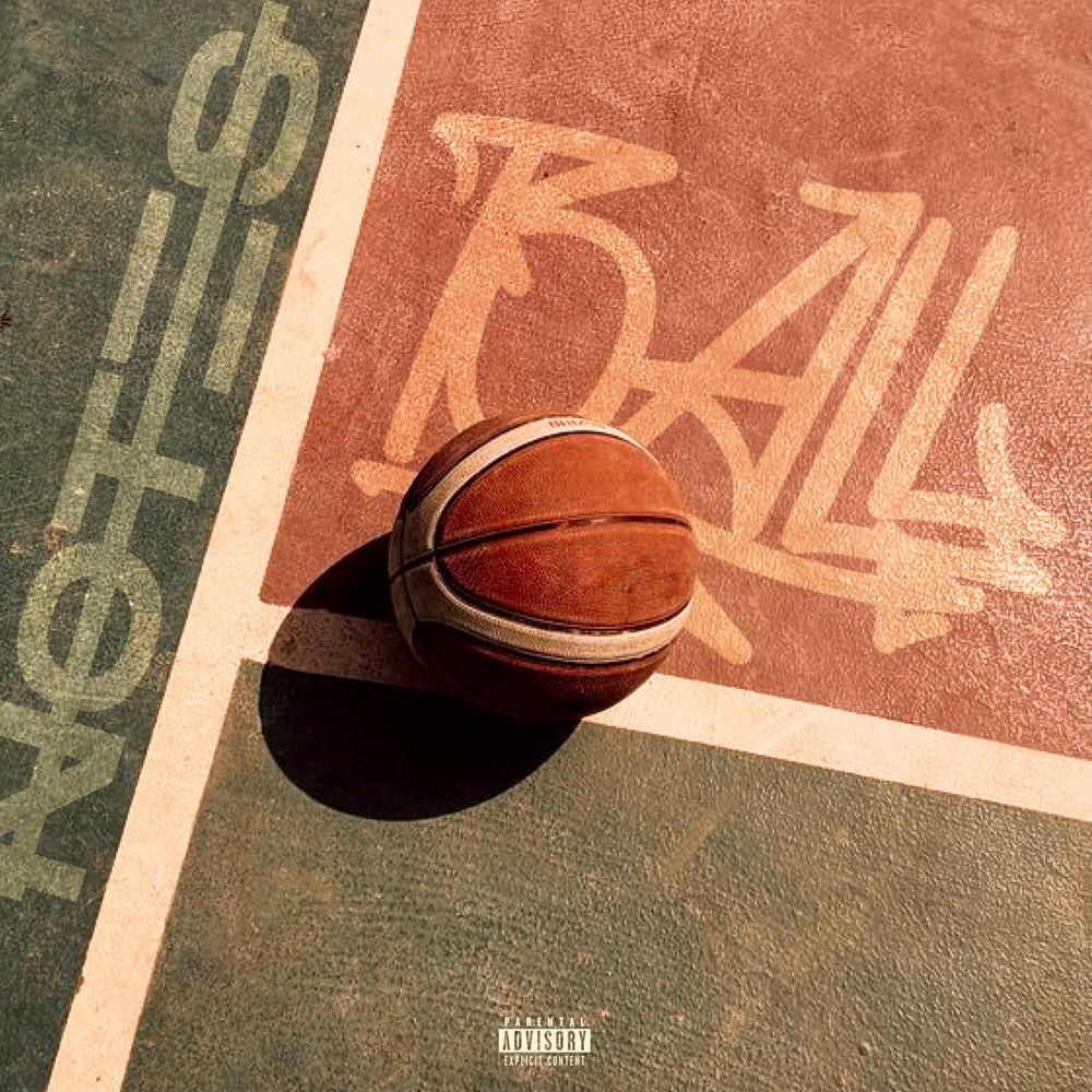 Ball cover