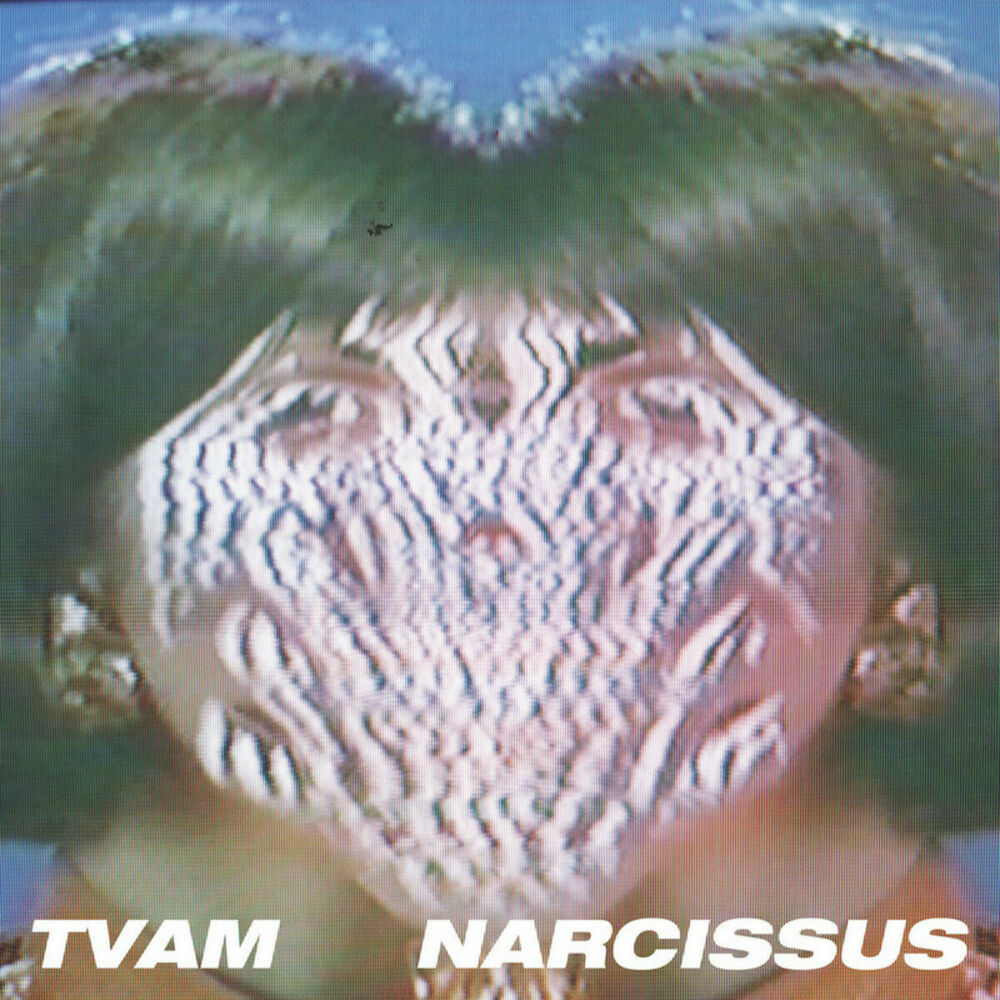 Picture of Narcissus