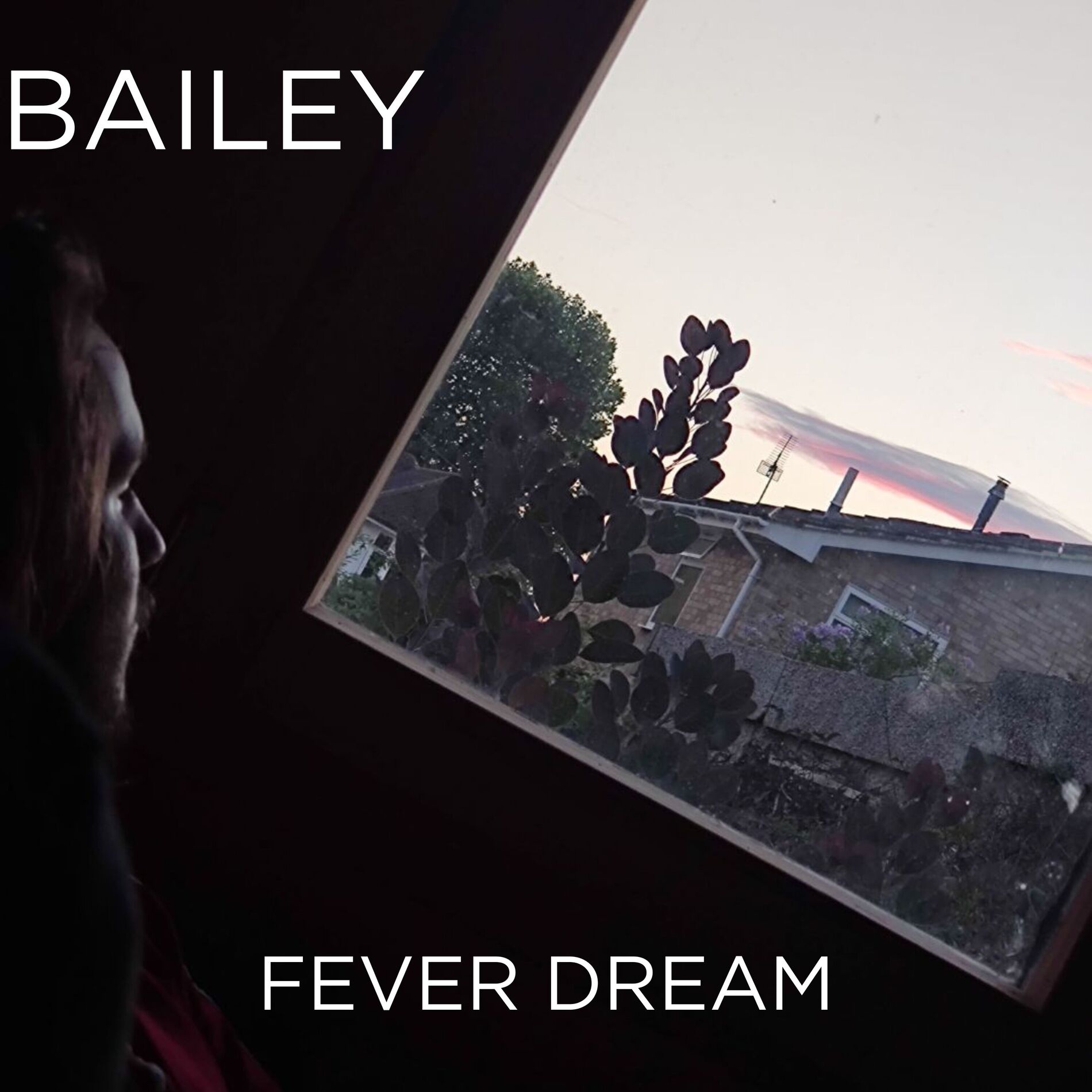 Album cover of Fever Dream