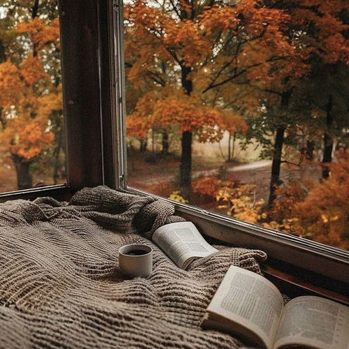 a cozy october morning.